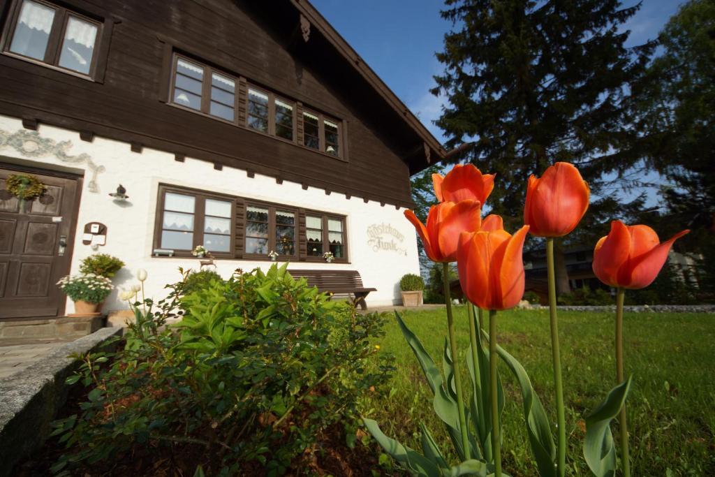 Gaestehaus Funk Bad Feilnbach Eksteriør bilde